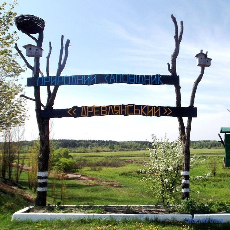 Древлянський природний заповідник — природоохоронна територія в межах Народицького району Житомирської області.