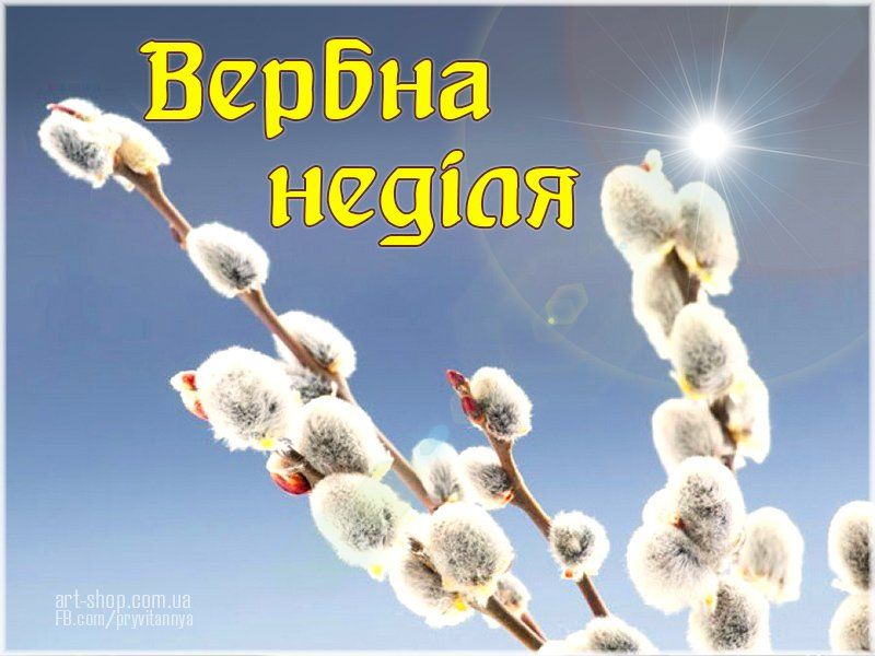 Вербну неділю святкують римо-католики та вірмени