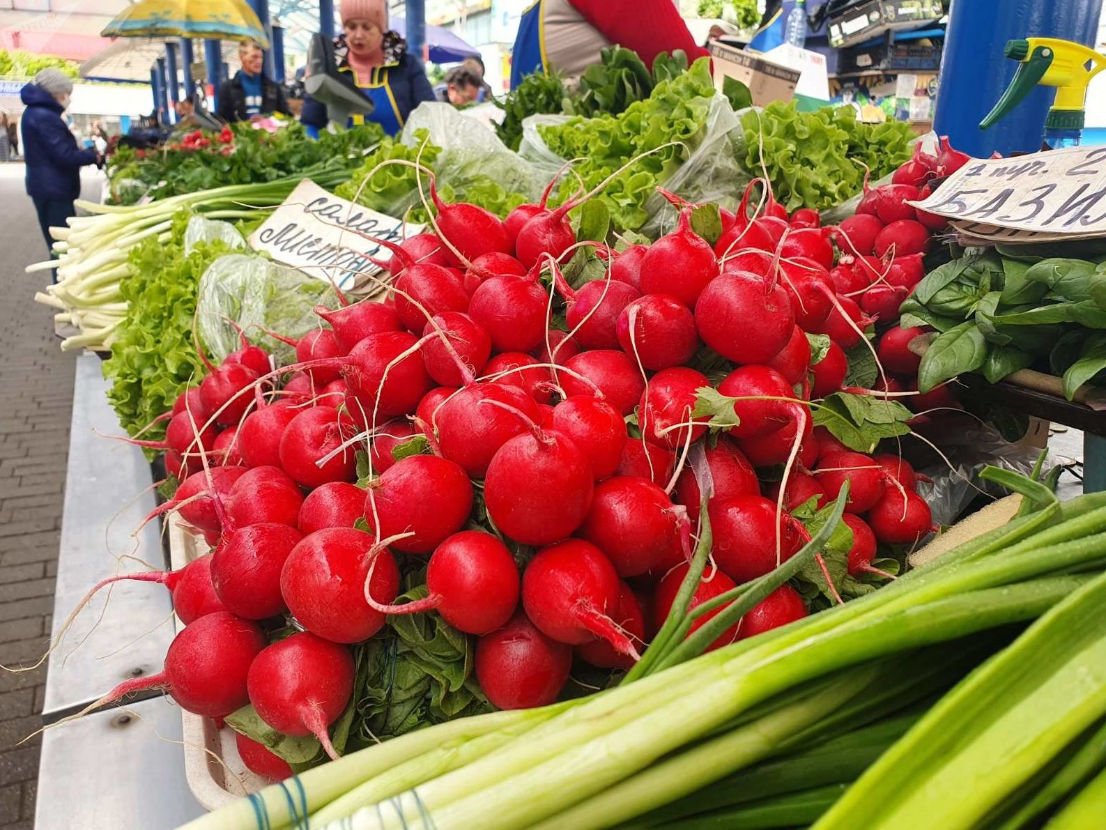 Втіха для гаманця: в Україні очікують зниження цін на кілька продуктів