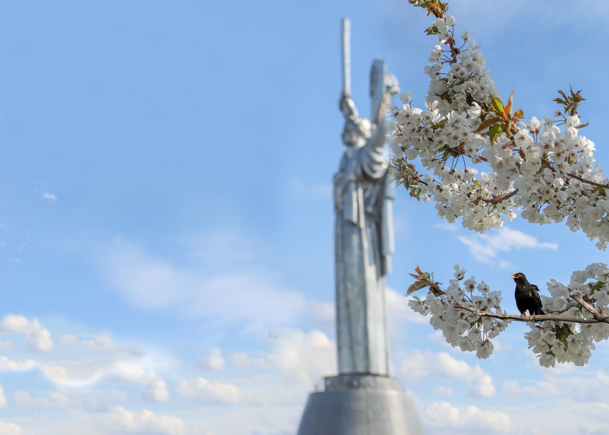 Георгіївська стрічка і тоталітарна символіка під забороною – МВС