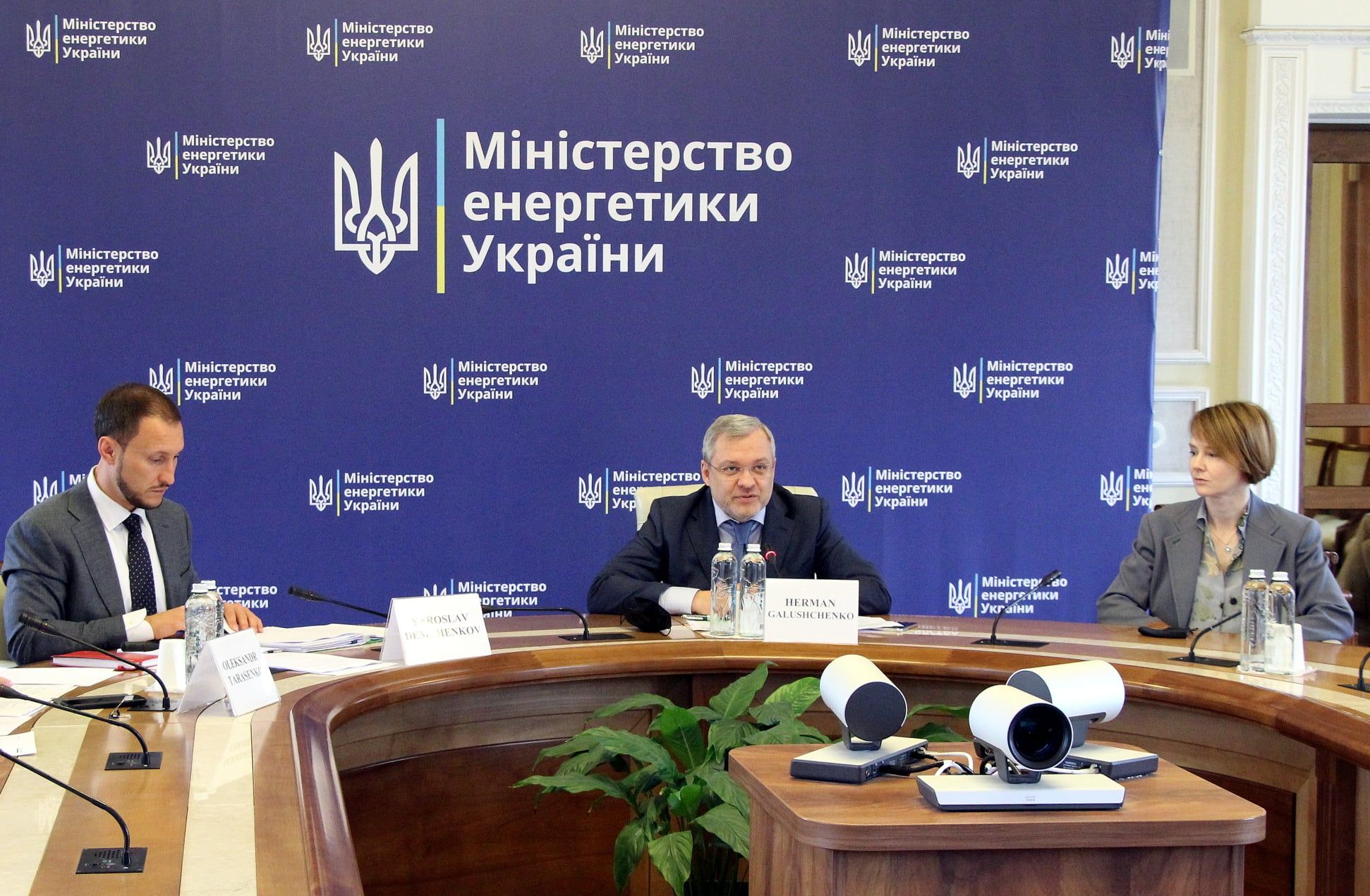 Лана Зеркаль призначена радницею міністра енергетики