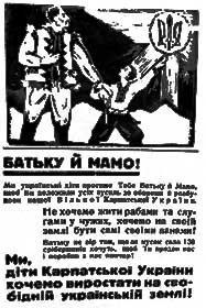 Вибори єднання