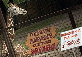 Домівка чи тюрма?