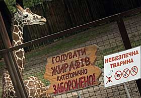 Домівка чи тюрма?