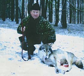 Виною всьому рикошет?