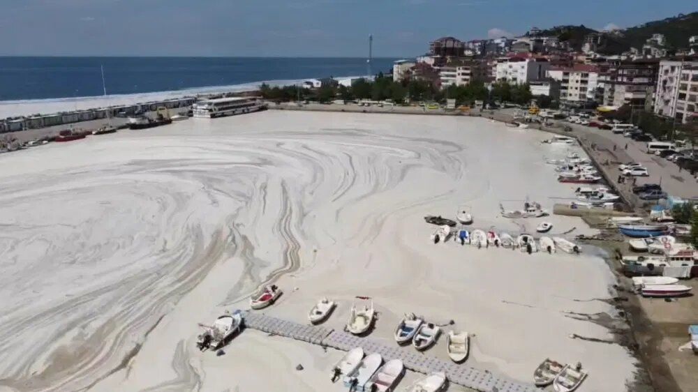Було море Мармурове, а стало «сопливе»: Туреччина потерпає від екологічної катастрофи