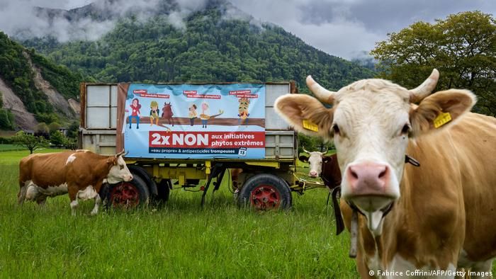 Швейцарці відхилили екоініціативи та «знехтували» кліматом