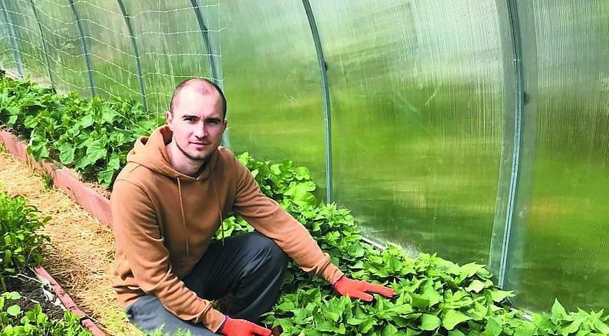 На Львівщині ветеран АТО став фермером завдяки батату