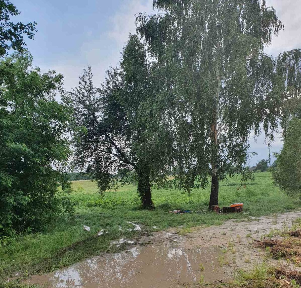 У Софіївці блискавка вбила двох людей