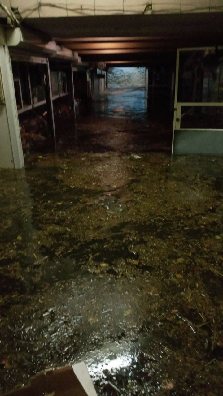 У Києві  закрили дві підтоплені станції метро