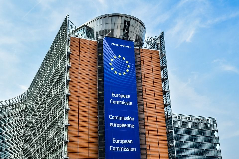 ЄС закликає Україну скасувати практику видачі двох закордонних паспортів