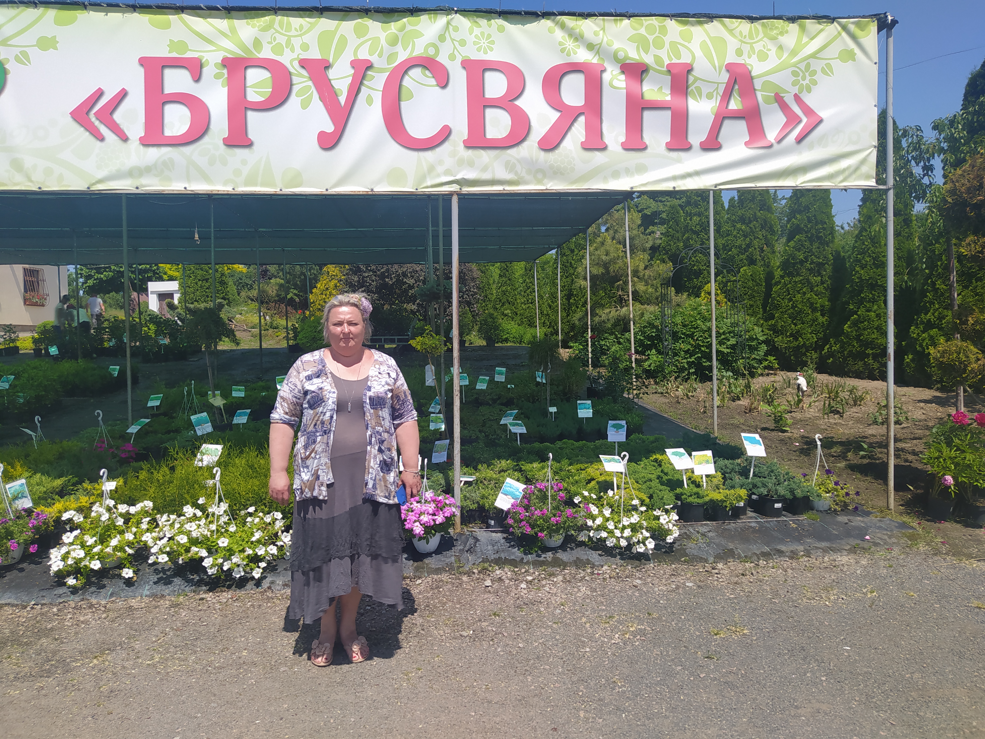 І своїх нагодуємо, і за кордон буде що відправити: в Україні стрімко відроджується ягідництво