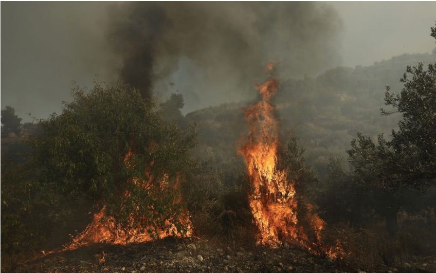 На святій горі Афон – лісова пожежа