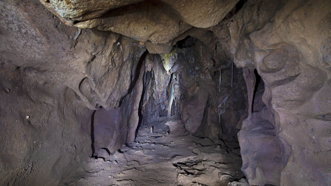 Печера в якій мешкали неандертальці 40 тис. років тому.