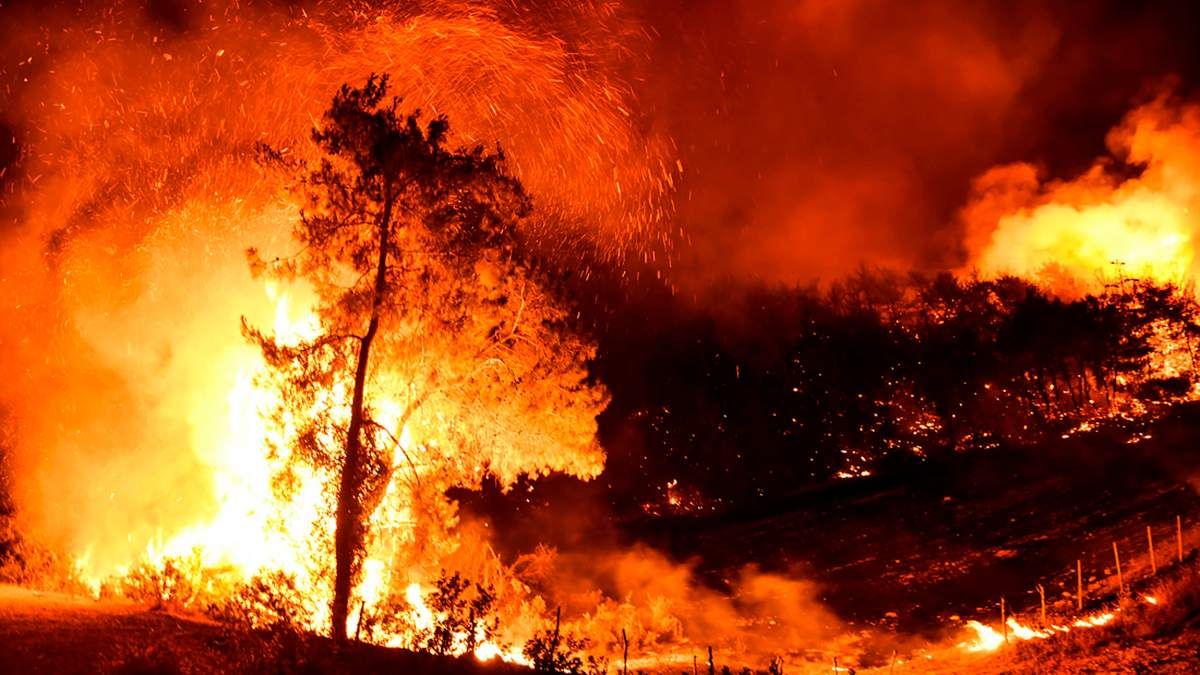 У Туреччині затримали російських туристів підозрюваних у підпалі лісу
