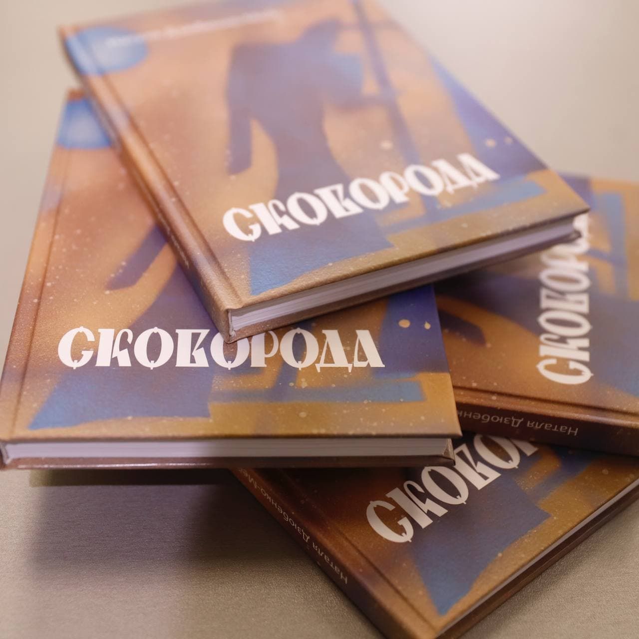 У Києві презентували збірку Наталії Дзюбенко-Мейс «Сковорода. Поеми, балади, цикли»