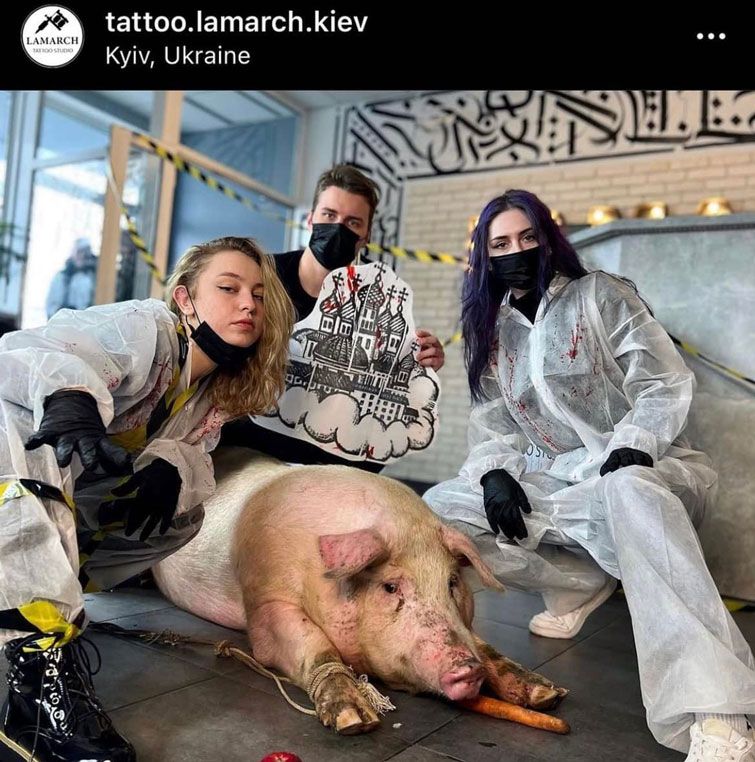 У тату-салоні в Києві знущалися над свинею: хотіли набити куполи на спину