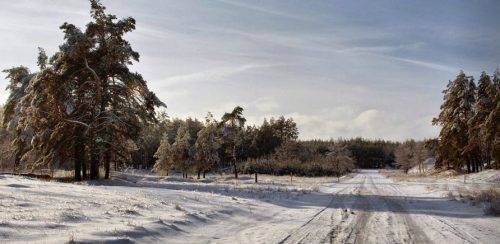 Подібні зимові пейзажі на Черкащині - вже рідкість.