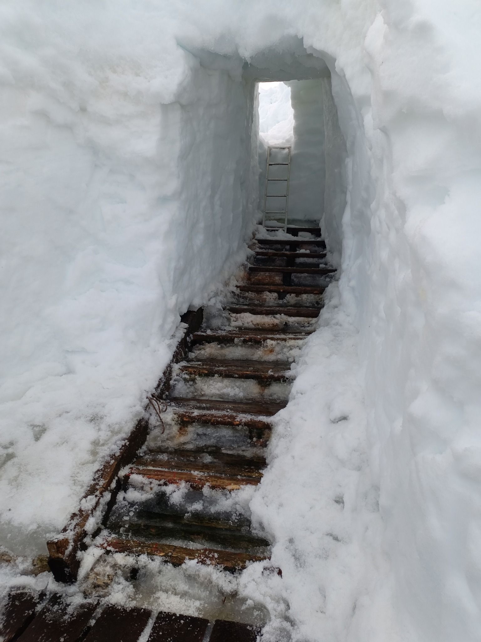 В Антарктиді станцію «Академік Вернадський» засипало снігом