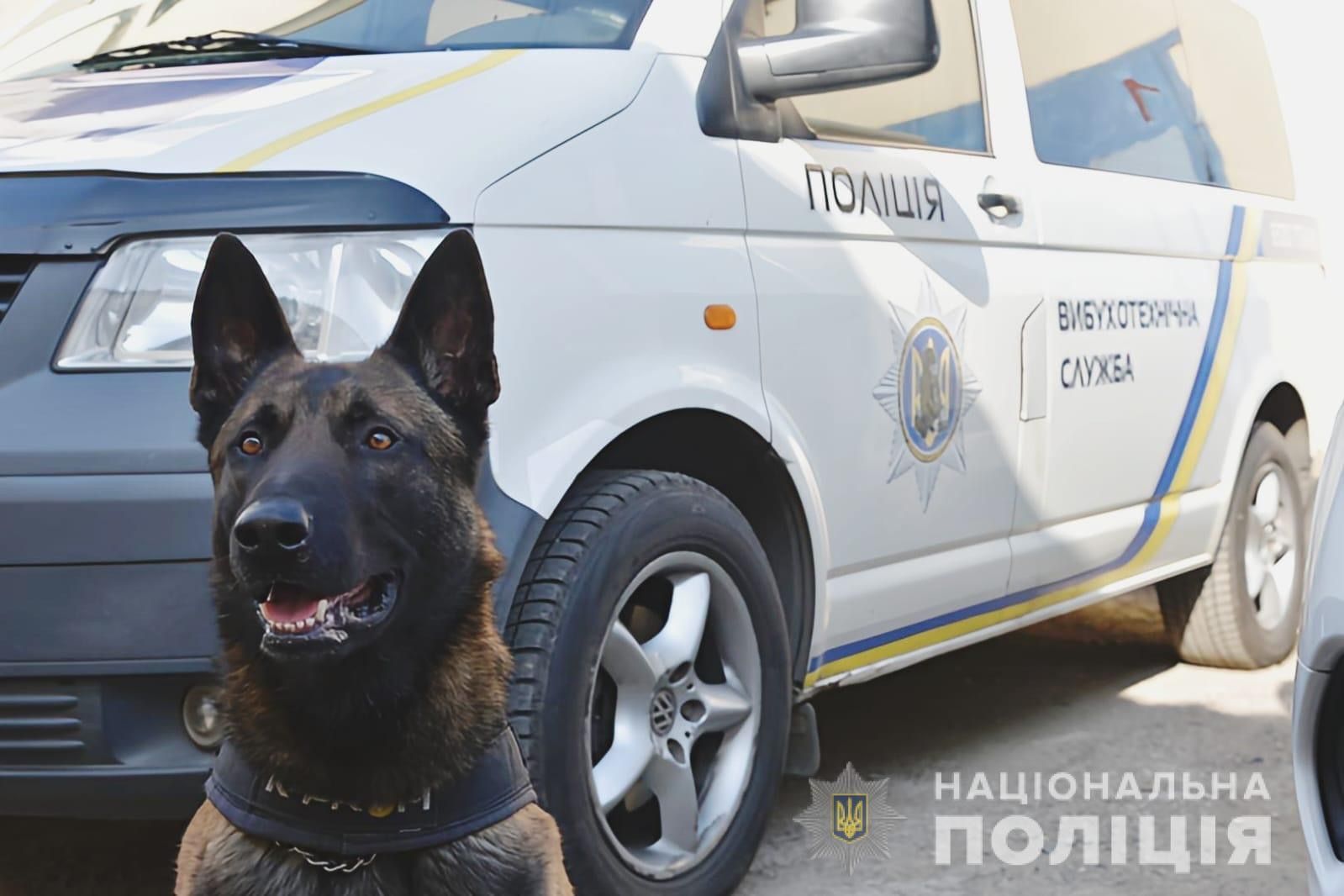 Нацполіція бере під охорону понад 100 об’єктів енергетичної інфраструктури України