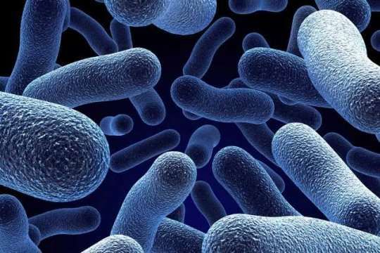 Смертоносні епідемії холери та дизентерії можуть охопити Маріуполь