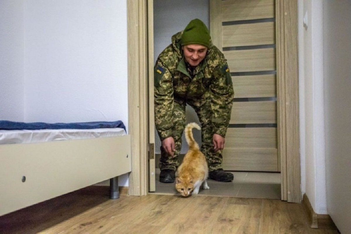 Житло після війни першими отримають захисники України
