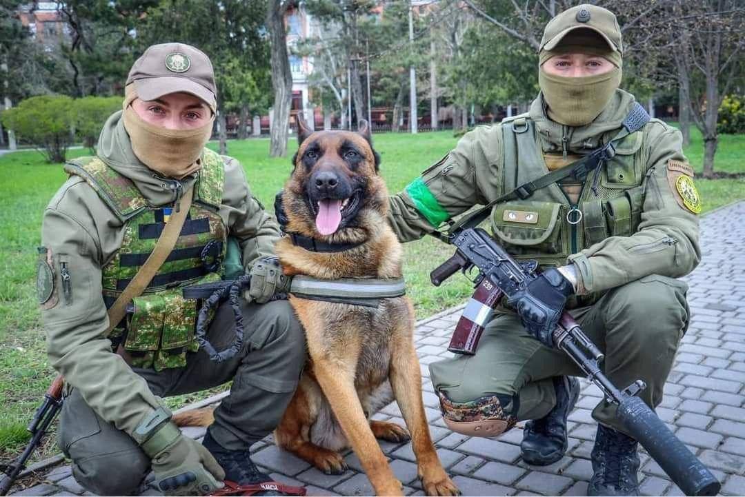 "Українізовананий" пес на службі Нацгвардійців.