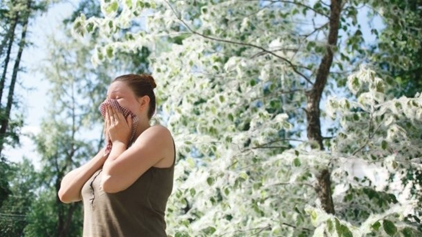 Пух — легкий, ускладнення — важкі: як полегшити свій стан під час сезонної алергії