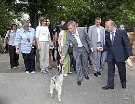 Незвірячий «наганяй»