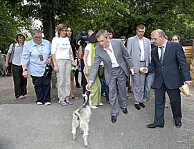 Незвірячий «наганяй»