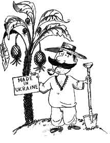 «У вас є насіння ранніх кокосів?»