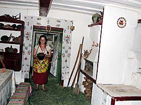 Мальви над віконницями