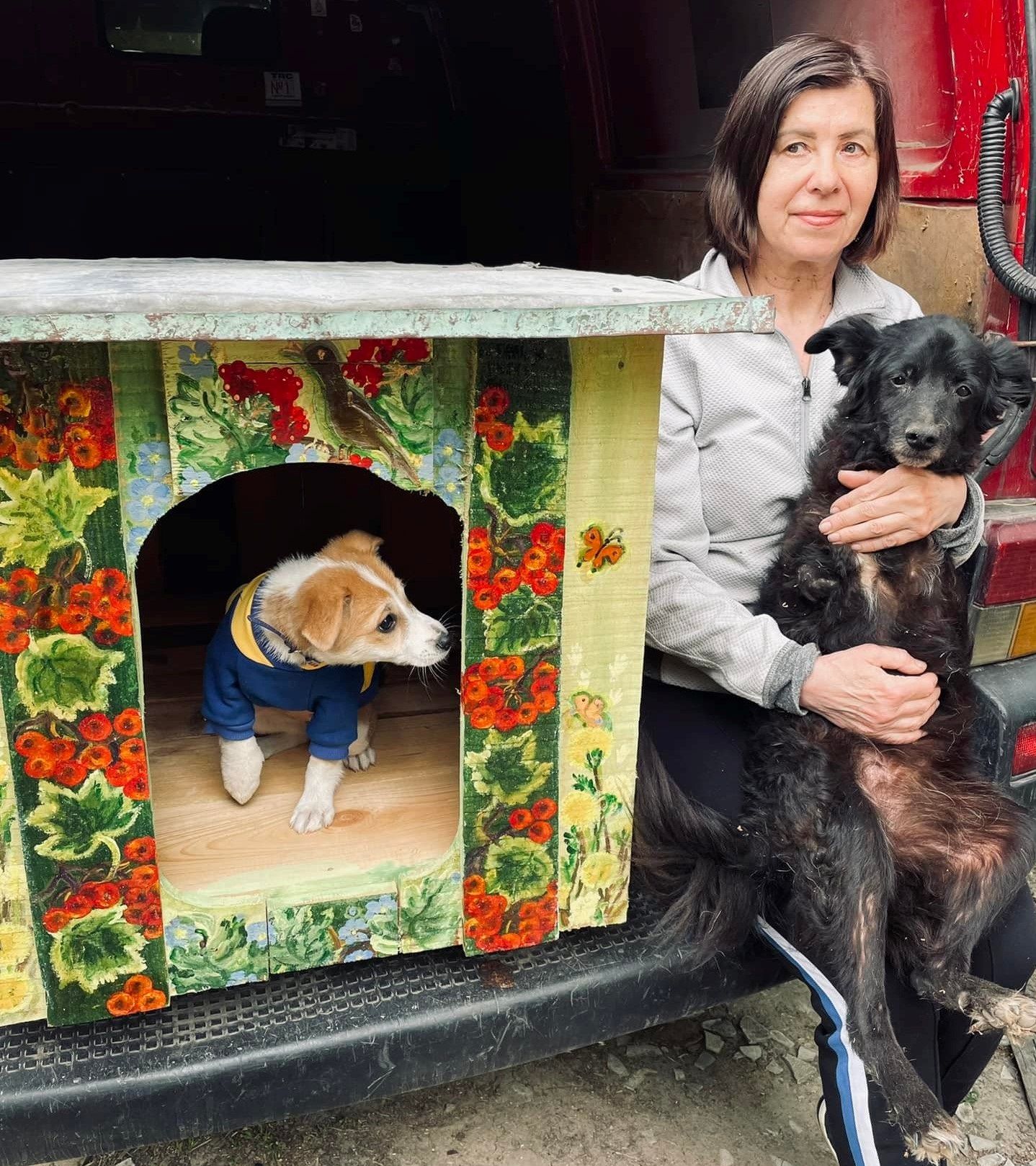Інтер’єр для Бровка: художниця-самоучка розписала будку, щоб привернути увагу до бездомних тварин