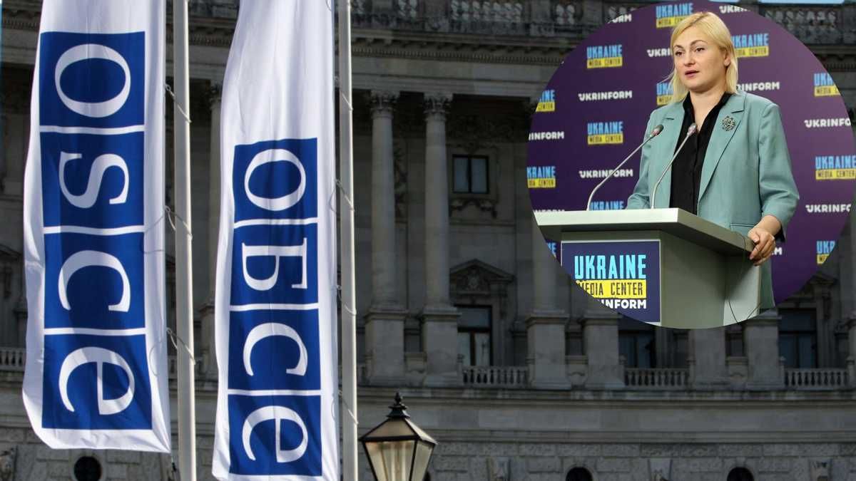 Україна подала зміни до регламенту ПА ОБСЄ з метою виключення рф