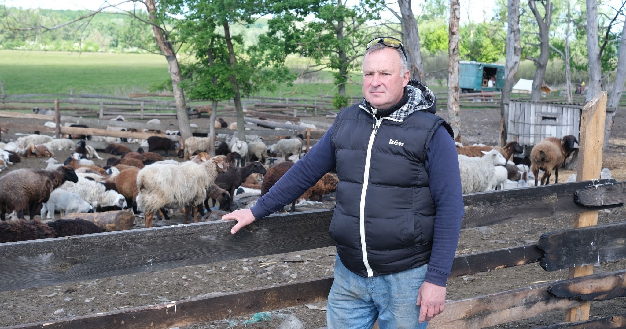 Костянтин Пархоменко: «Внаслідок «демілітаризації» ферми овець тепер тримаємо просто неба посеред наспіх змайстрованої огорожі.»
