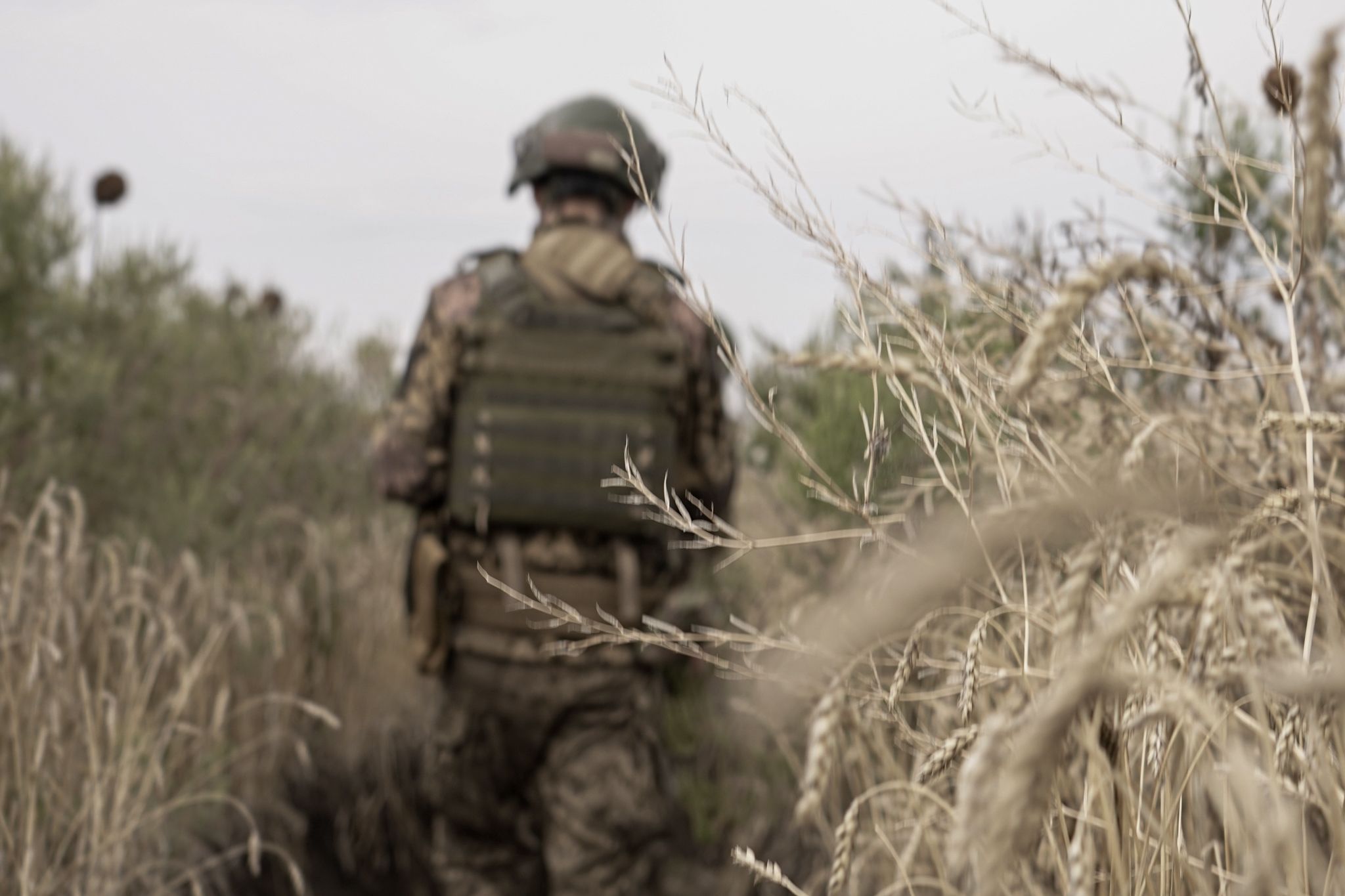 На Харківщині ЗСУ звільнили село Глушківка