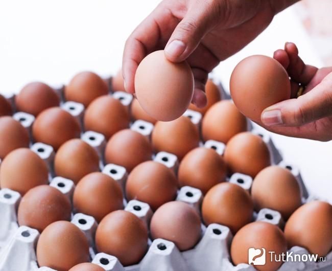 Омлет «за ціною однокімнатної квартири»: чому в Україні рекордно дорожчають яйця і що буде з цінами далі
