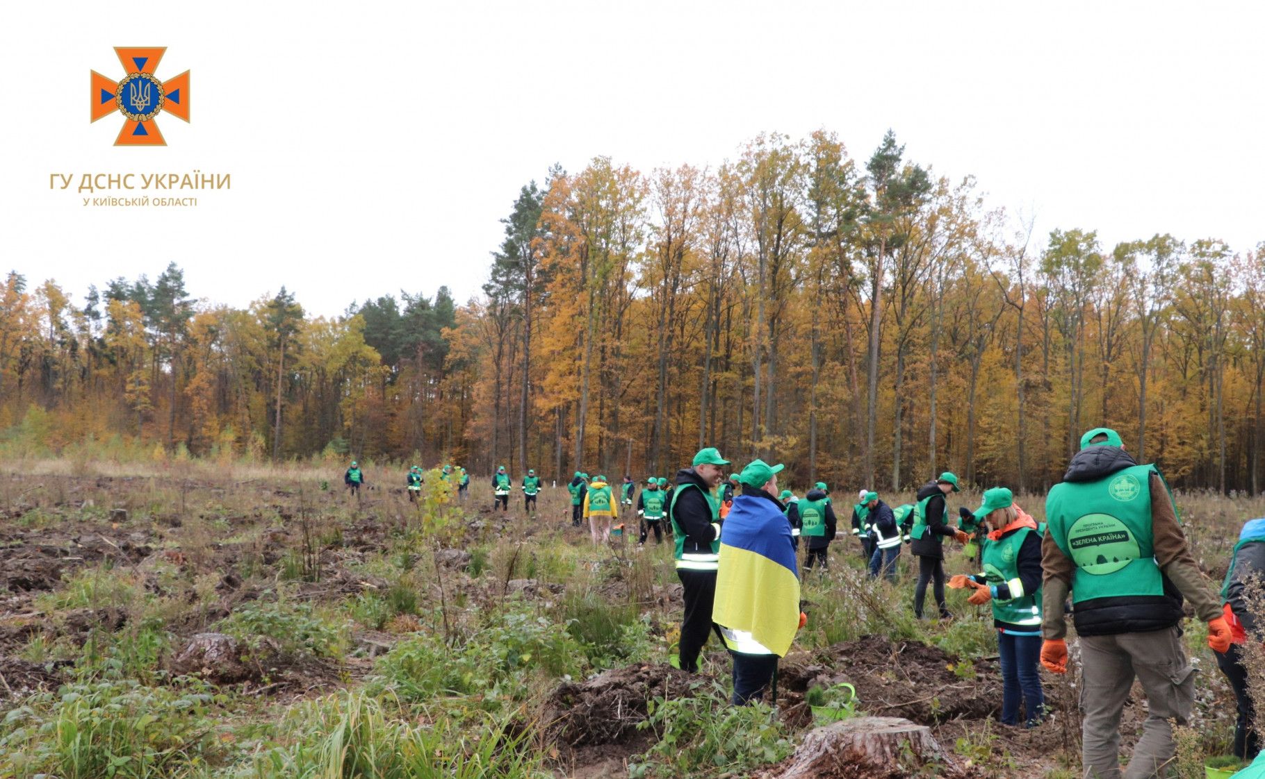 На Київщині рятувальники з лісниками посадили дерева на деокупованій території, фото