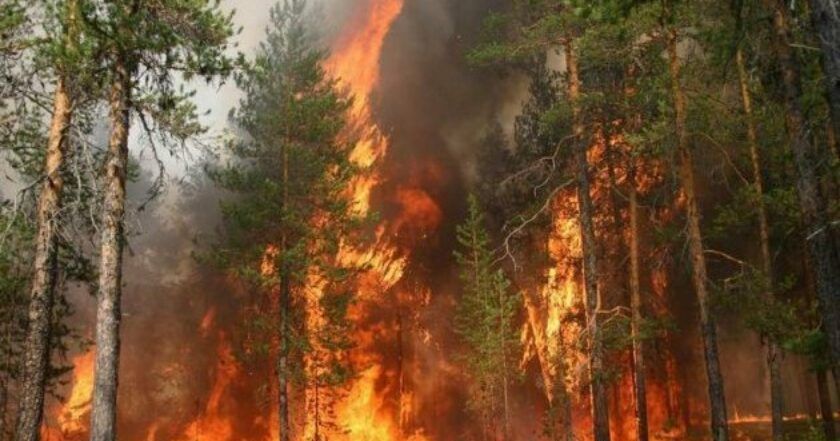 Довкіллю України росія завдала шкоди на майже півтора трильйона гривень