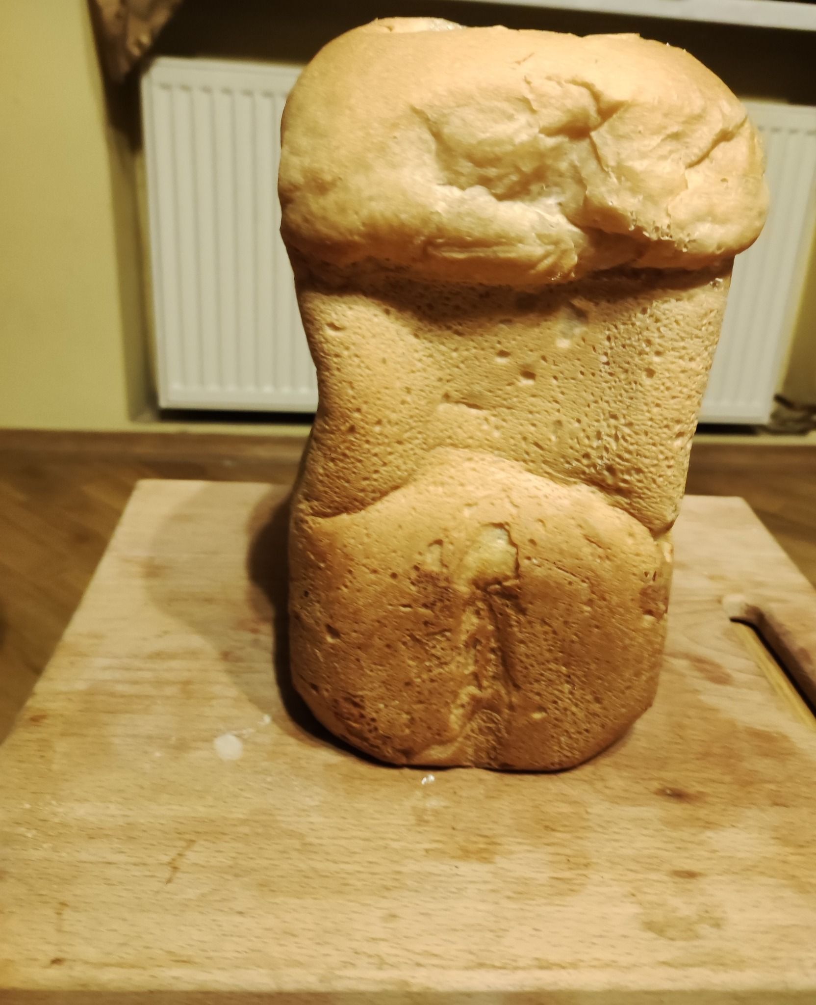 Спельта і її тисячолітній смак