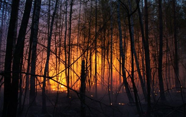 Російські нелюди знищують екологію України: через пожежі в лісах, загинули тисячі тварин