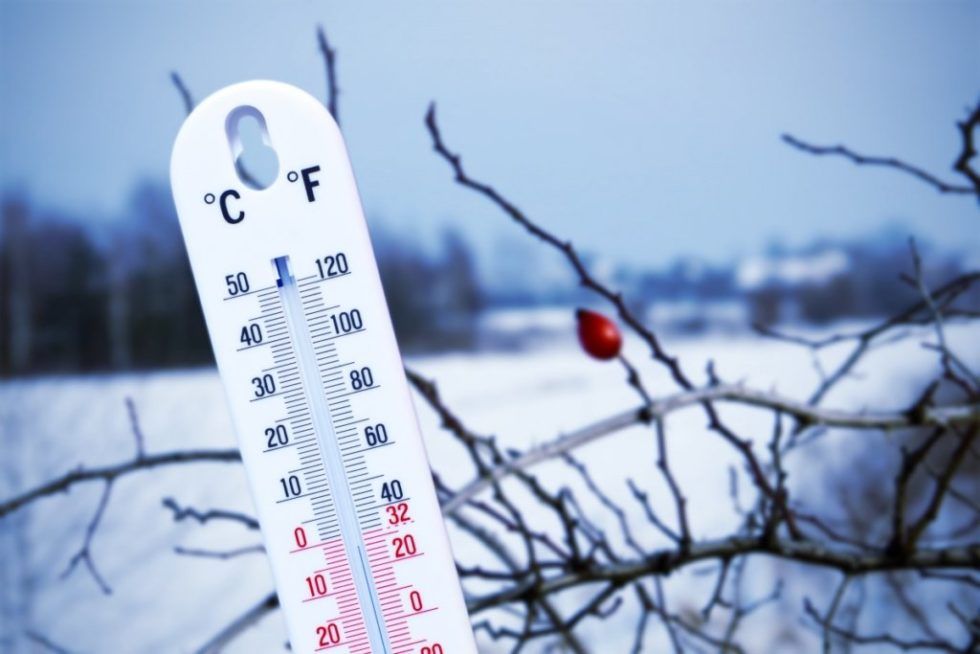 В Україні прогнозують снігопади та морози до 14 градусів