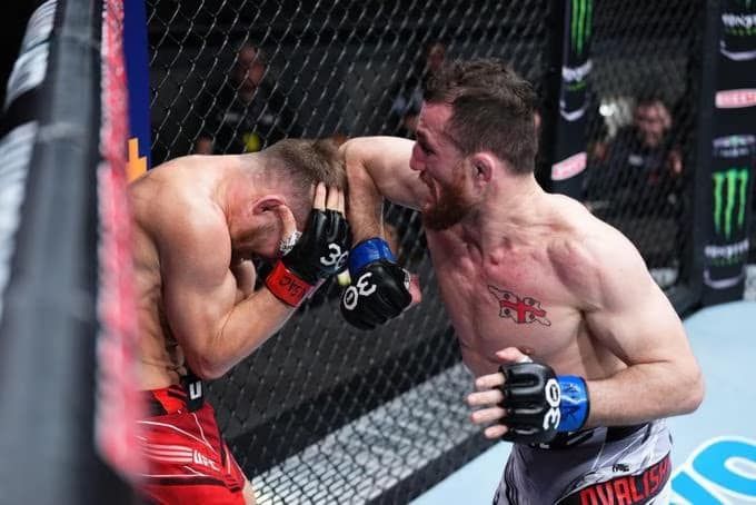 Грузин Двалішвілі «знищив» росіянина на турнірі UFC і закликав до миру, фото
