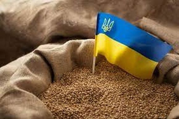 Зерно нон ґрата: чому країни ЄС почали забороняти імпорт української агропродукції