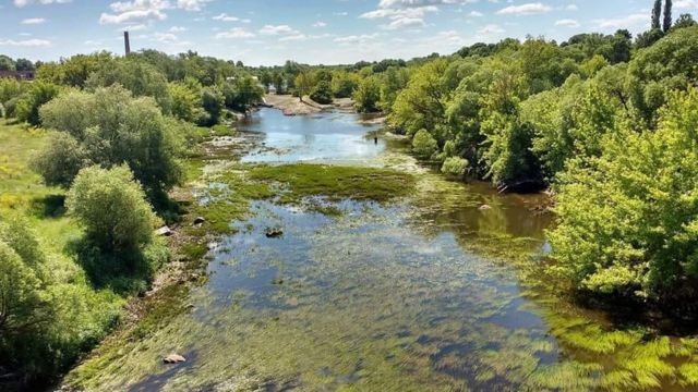 У річках України знижується рівень води