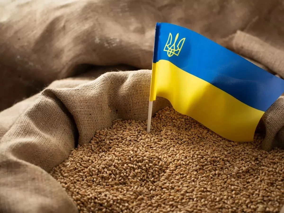 У Анкарі відбудеться зустріч делегацій України, РФ і Туреччини щодо зернової угод