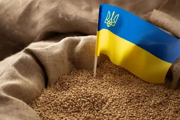 ЄК продовжила заборону на імпорт сільськогосподарської продукції з України до середини вересня.