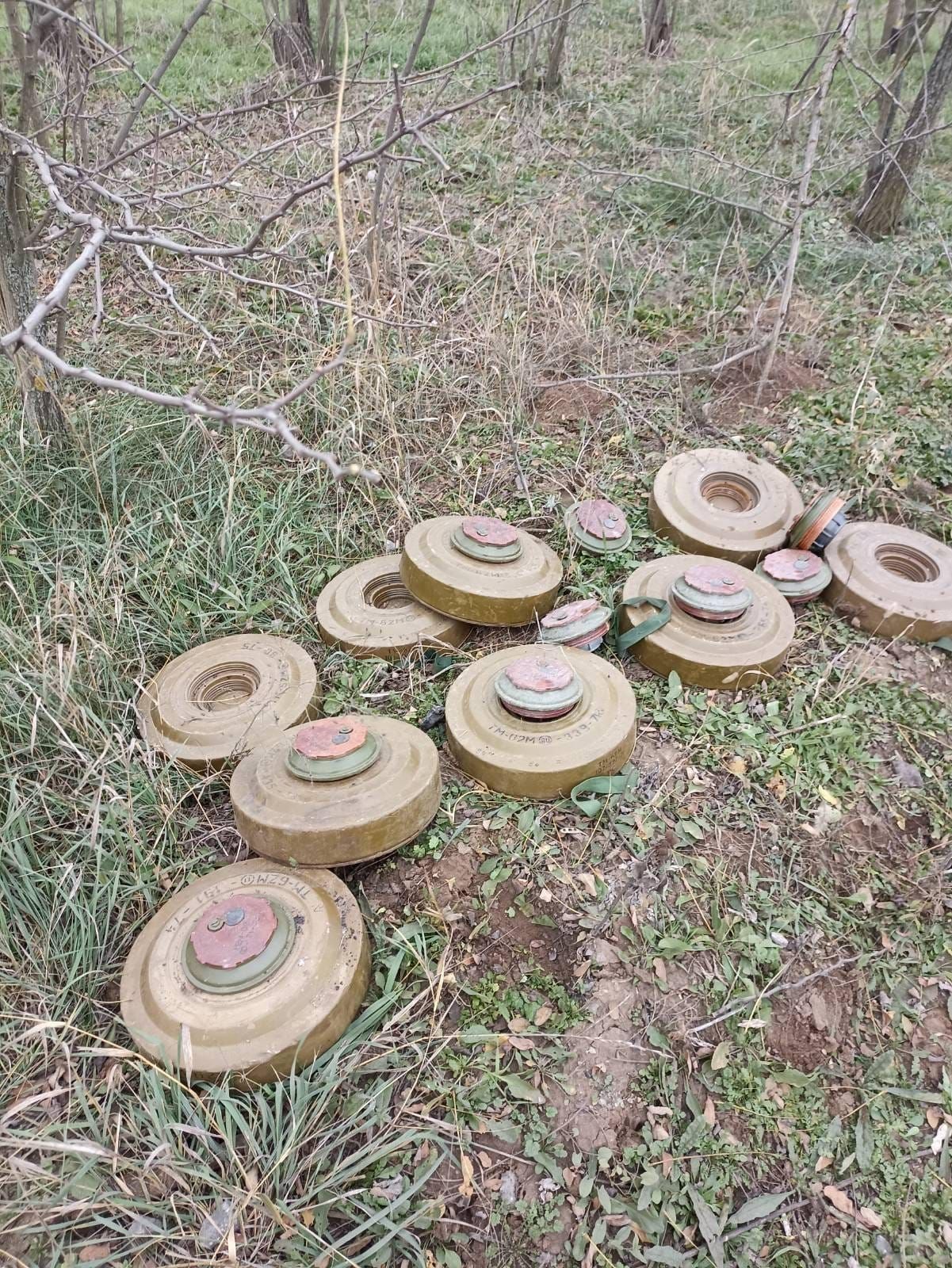 Поля в Красноперекопському районі Криму заміновано – Меджліс