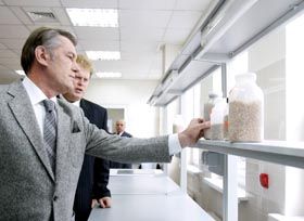 А що у ваших помідорах?