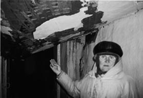 «День Шуфрича» в Бердянську